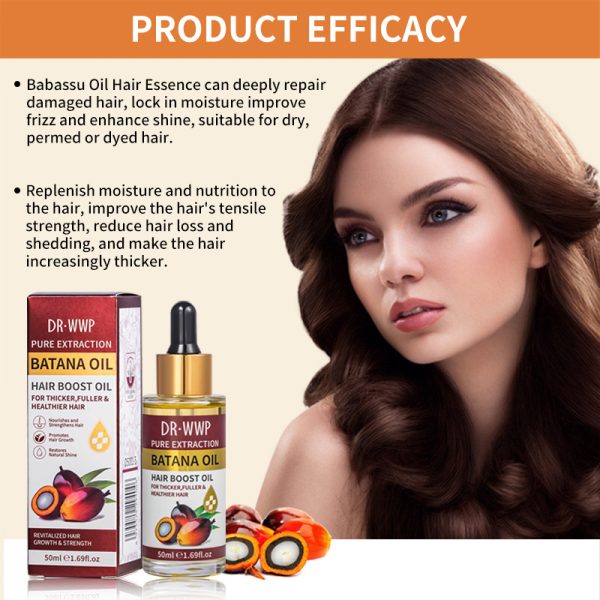 dr-wwp-pure-batana-oil-for-hair-growth.jpg dr-wwp-pure-batana-oil-for-hair-growth.jpg