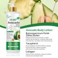 Avocado-Extract-Whitening-Moisturizing-Body-Lotion
