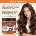 DR-WWP-Pure-Batana-Oil-Hair-Mask-500g-For-Hair-Growth-And-Strength.jpg