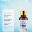 collagen-serum-for-tightening-pores-and-reducing-fine-lines.jpg